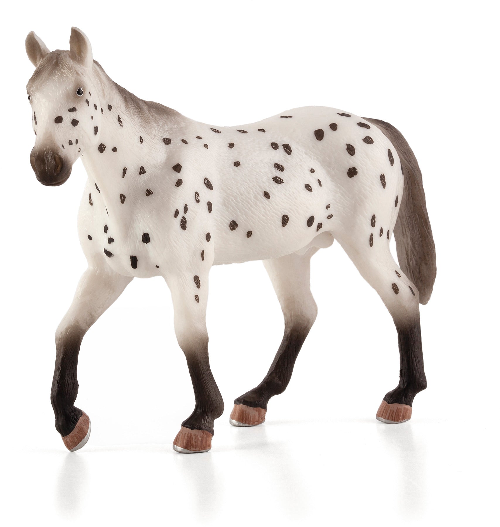 Appaloosa schleich 2025