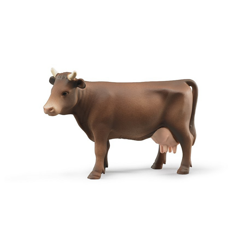 Brown Cow