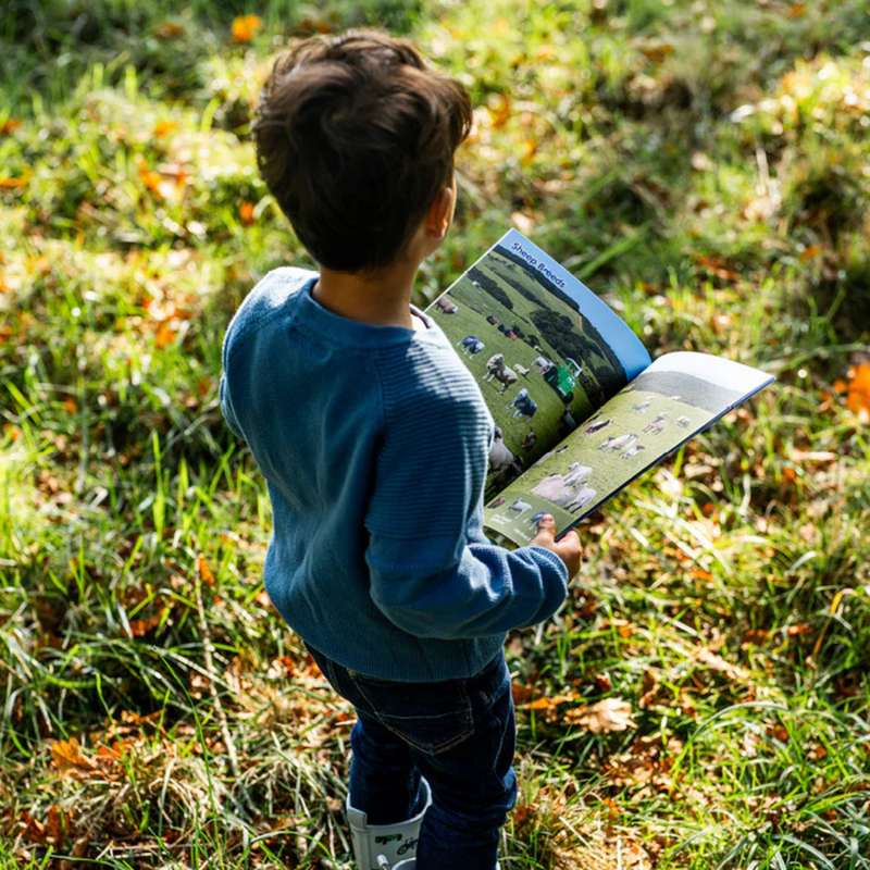 Tractor Ted Look & Find Farm Book