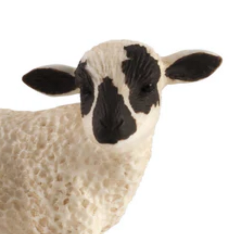 Mojo Black Faced Lamb Standing