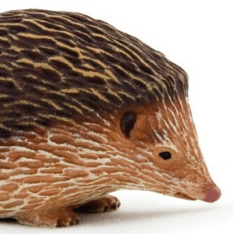 Mojo Hedgehog