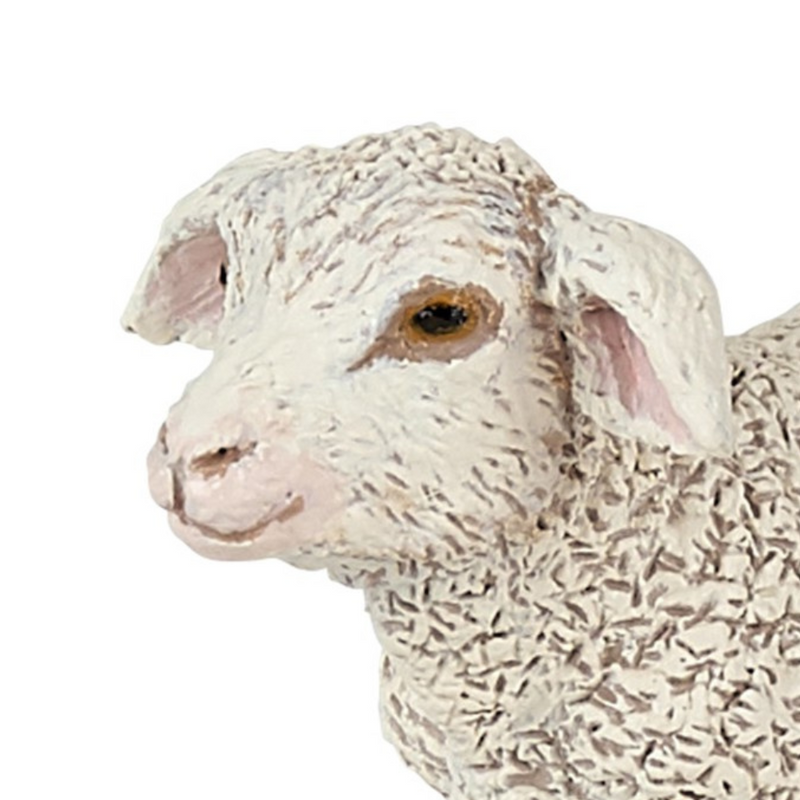 Papo Merino Lamb