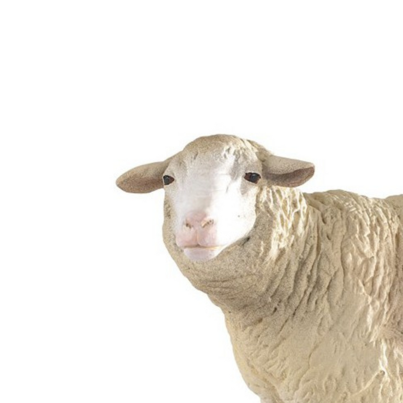 Papo Merino Sheep