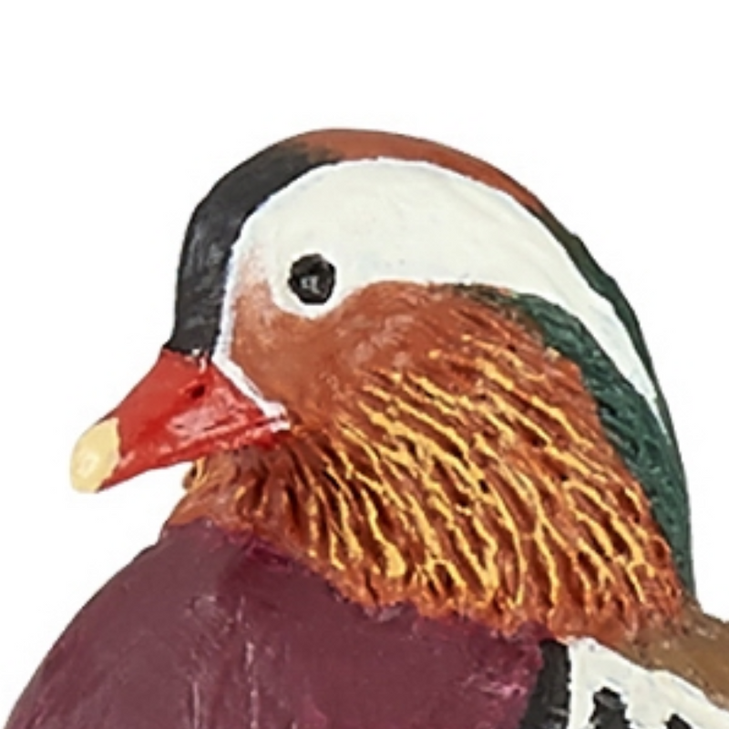 Mandarin Duck