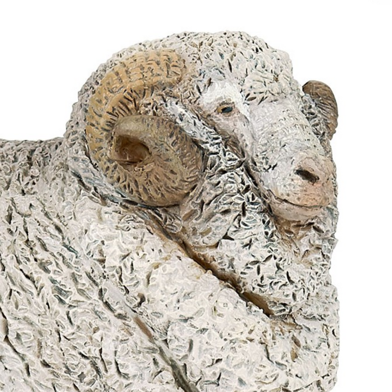 Papo Merino Ram