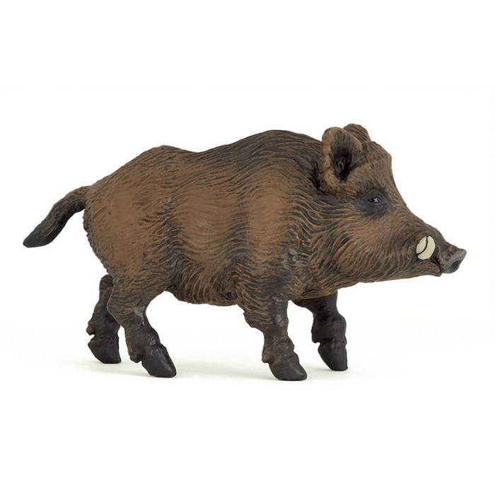 Brown Wild Boar Pig