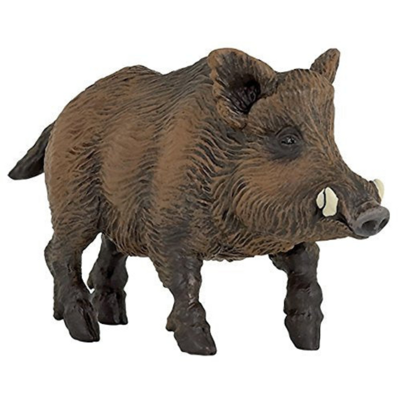 Brown Wild Boar Pig